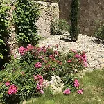 L'etoile De *