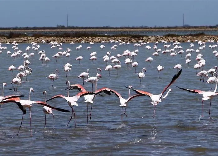 Lejlighed L'etoile De